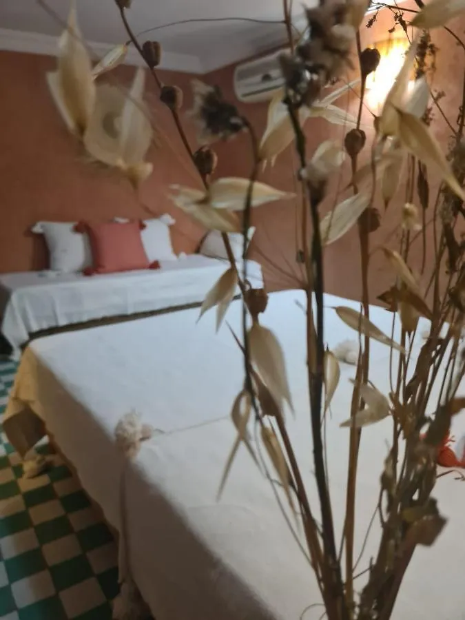 Gasthof Riad Casa Sophia Marrakesch